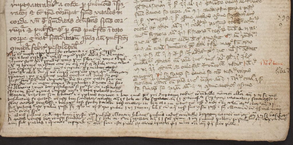 Herzog August Bibliothek Wolfenbüttel (HAB), Codex Cod. Guelf. 429 Helmst. I II, Blatt 66r (Ausschnitt)